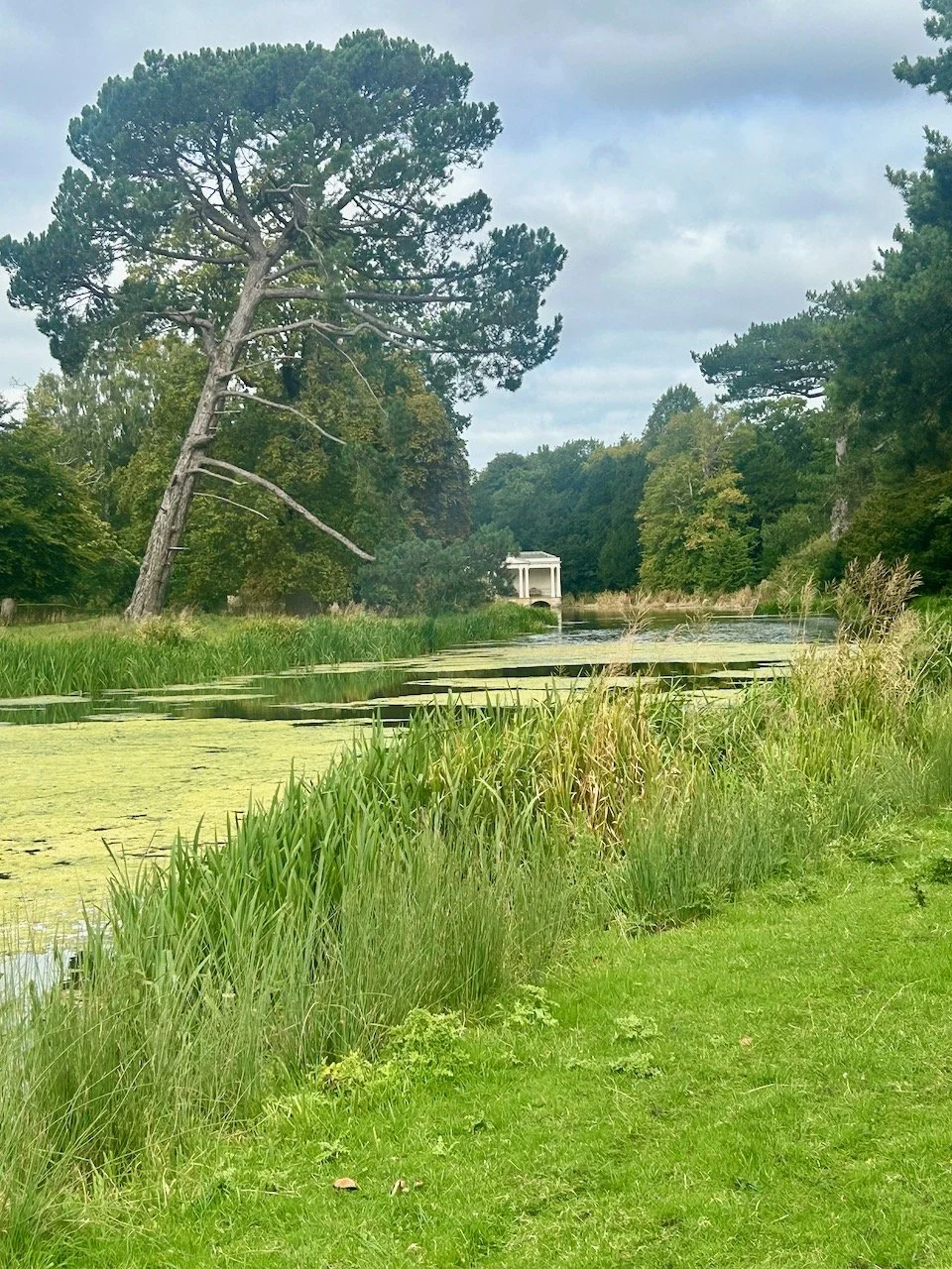 Midway along the lake at Scampston Hall looking back towards the Palladian Bridge