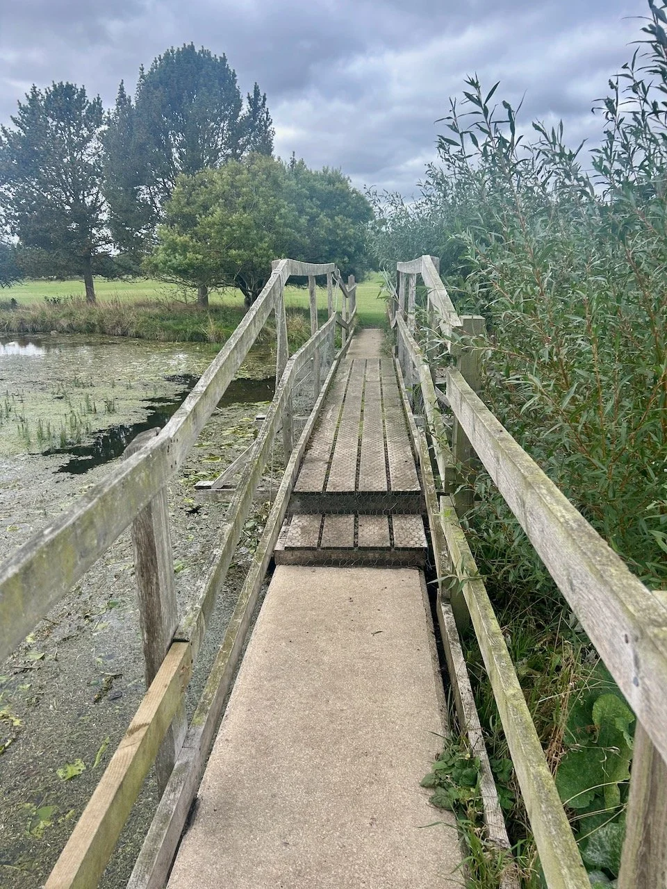 A wooden bridge heading across the lakes at Scampston Hall