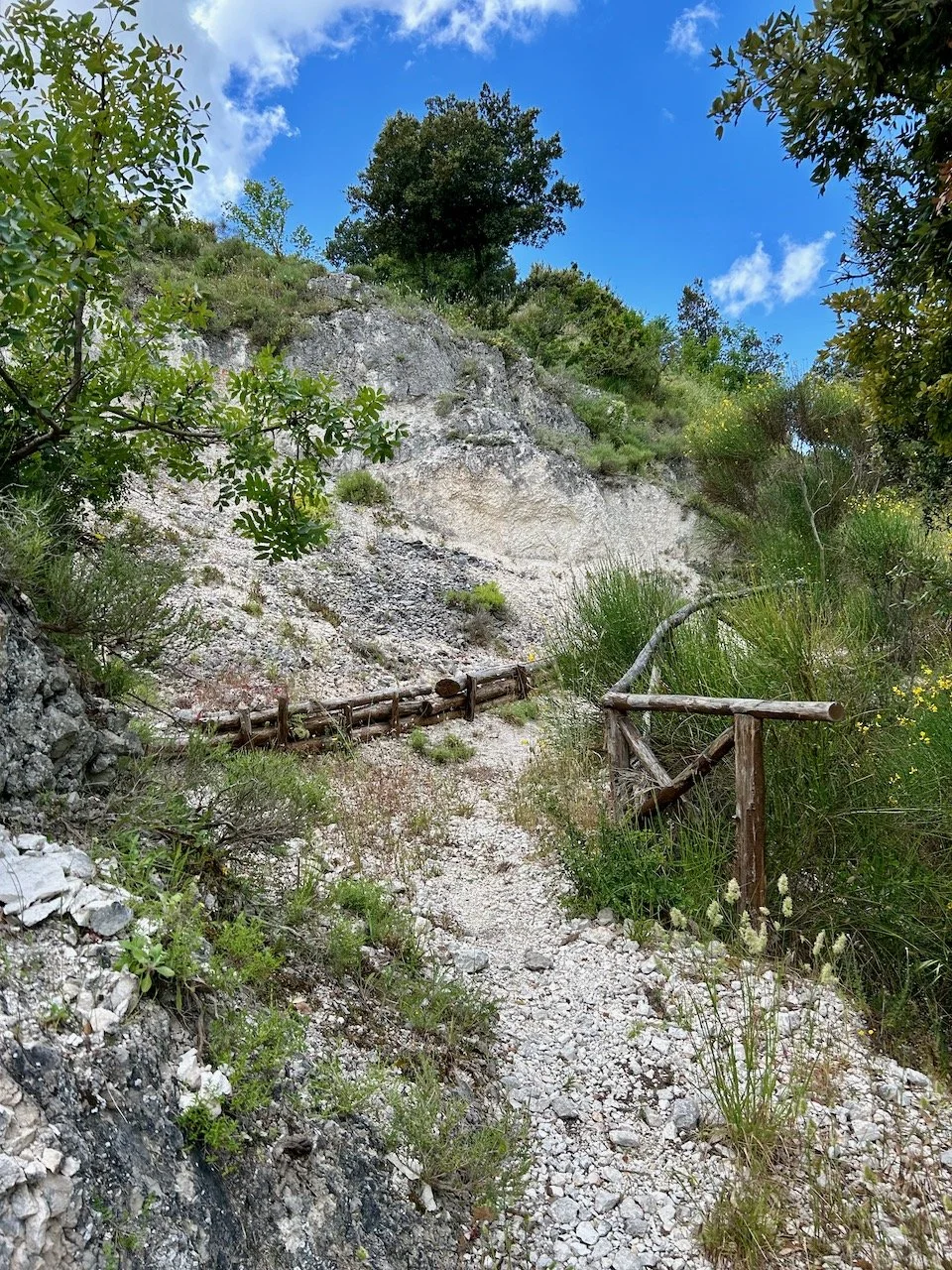 Yet more rocky paths upwards