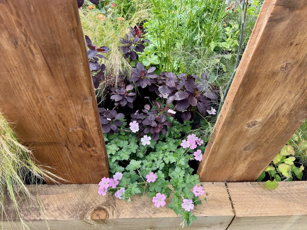 From Sewing to Sowing, Annabel Davies, Gardeners' World Live 2026