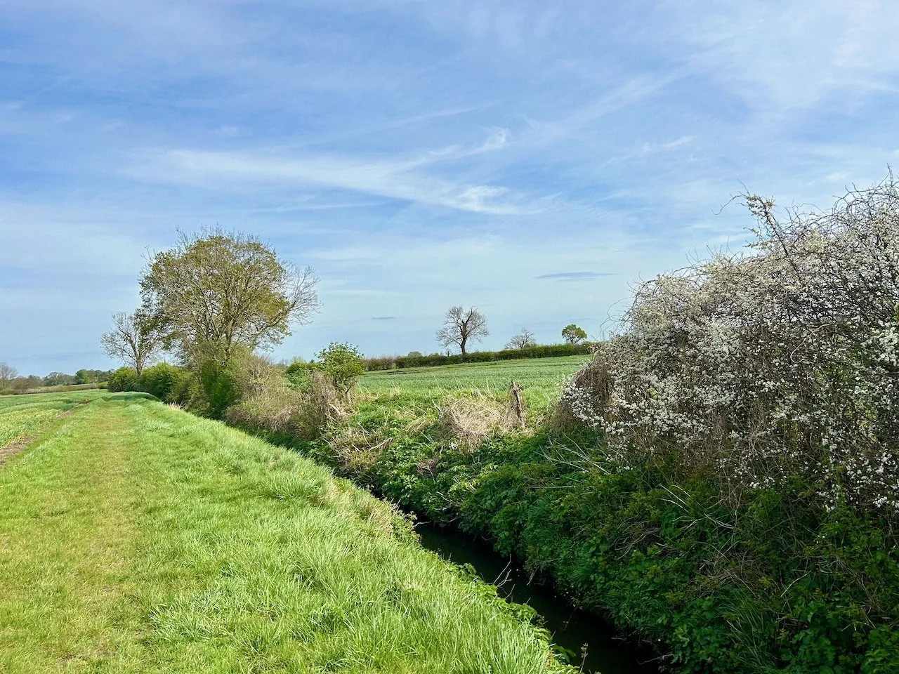Walking along a grass path with hedgerows to our right and soft blue skies above