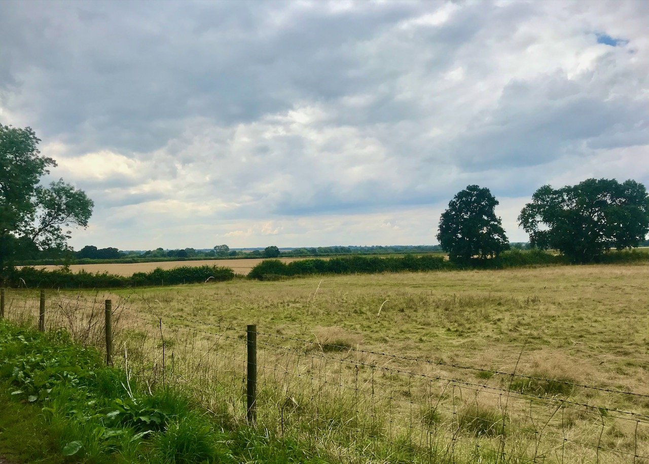 A view of fields and open countryside with a tree or two on the horizon on the right of the picture