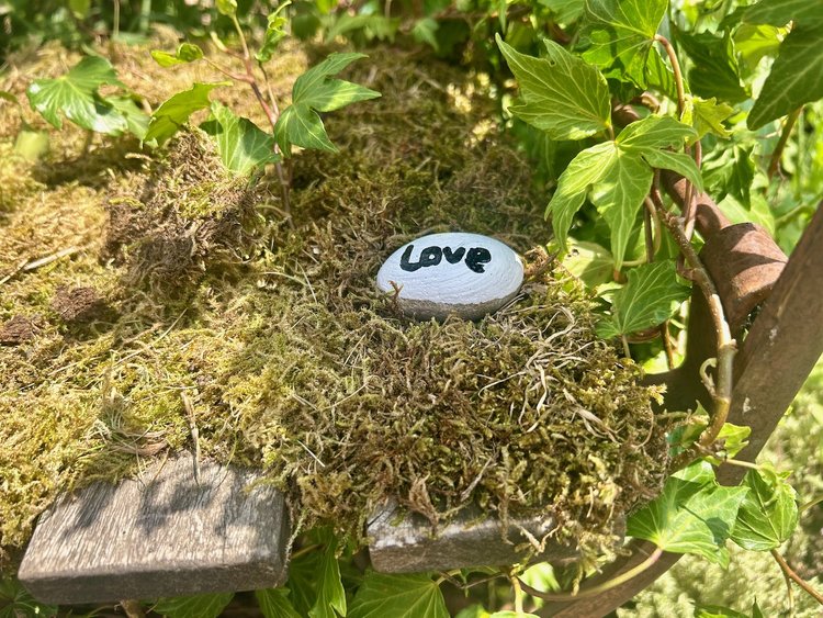 Gardeners' World Live: What a show!