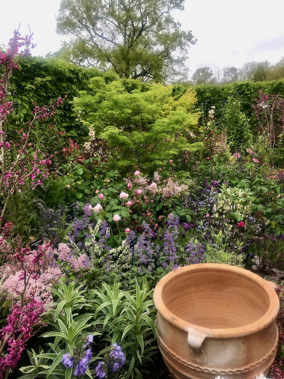 the colour palette of this border changes from purples to pinks in the corner of the garden