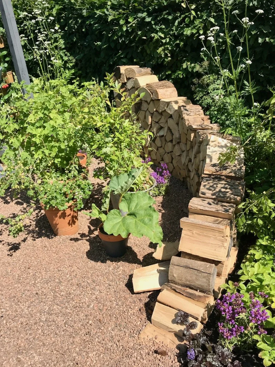 Entering the garden encouraged in by log piles stacked to form a curve