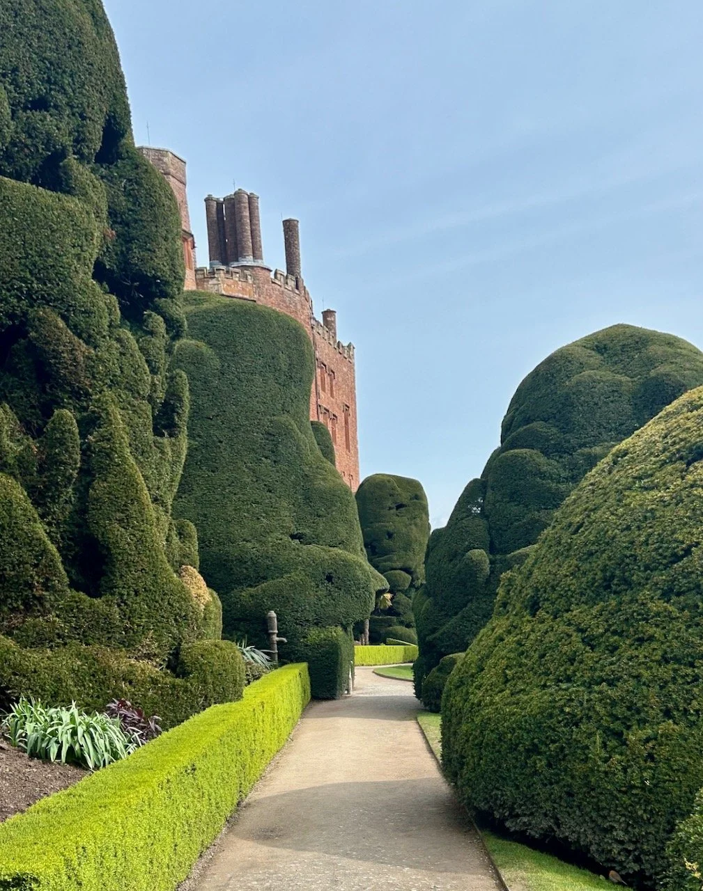 The castle in the distance, the path in the foreground is edged with the most magnificent giant yew topiary