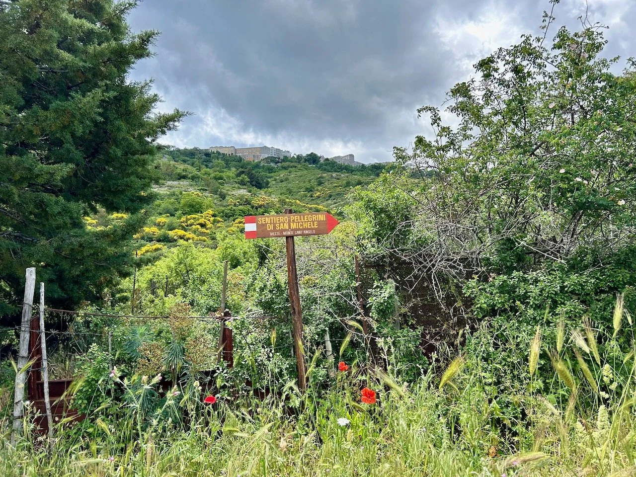 A sign and a large black cloud