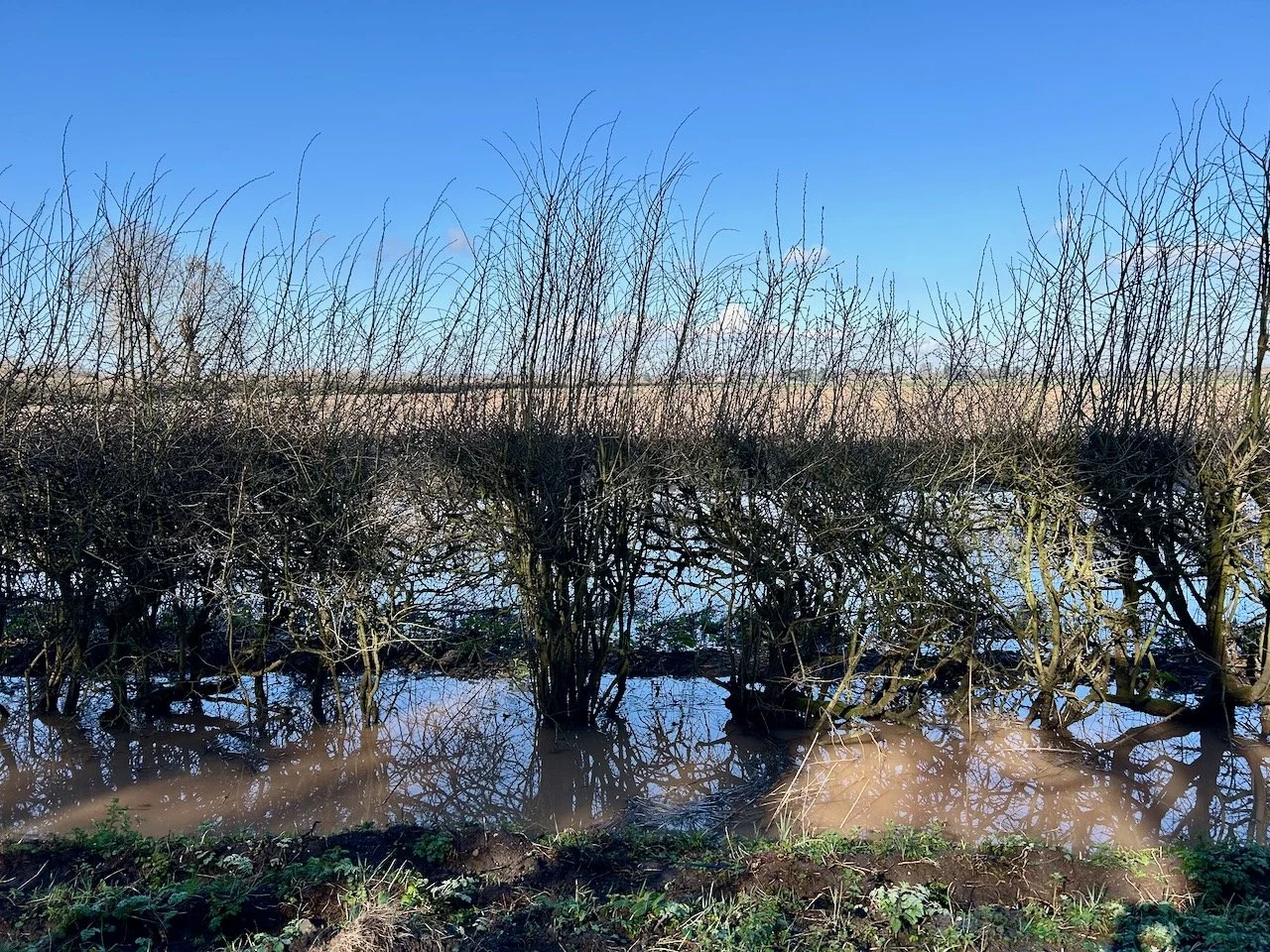 ditches alongside Church Lane remain full of water