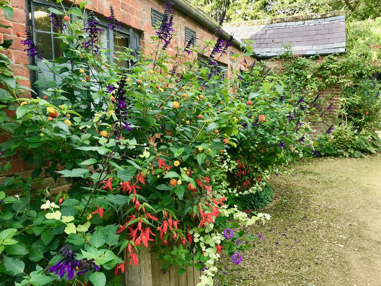 Luscious and overflowing borders alongside the cafe with plants in reds, purples, oranges, yellows and more spilling over the edges