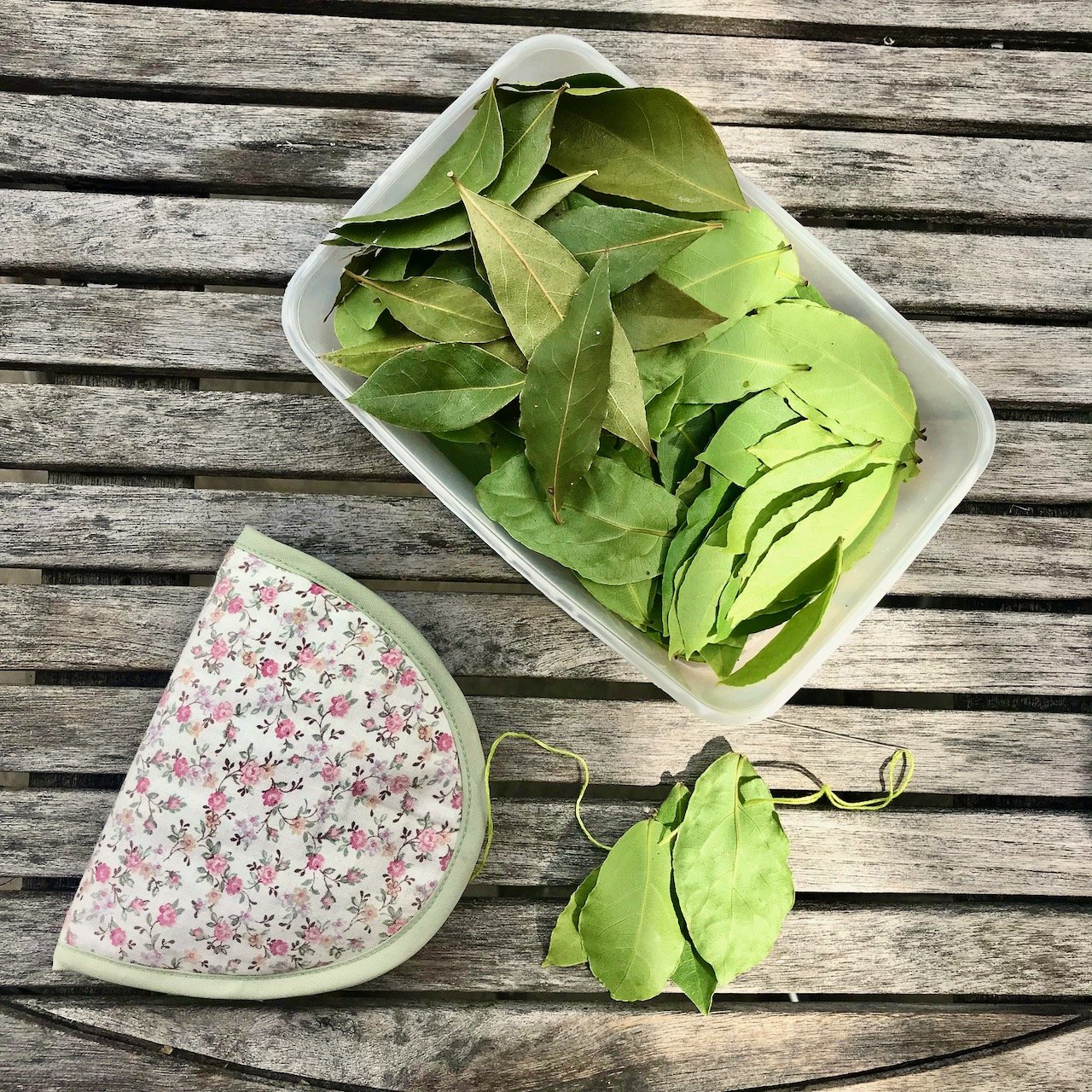 A takeaway tub of washed bay leaves, sewing notions and the start of a string of bay leaves on a garden table