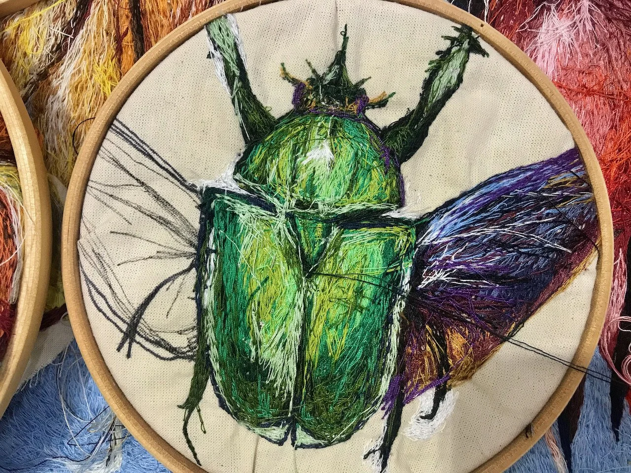 A green bug in an embroidery hoop, close up taken through a glass display case
