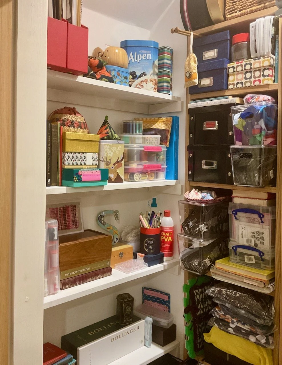 New shelves, and ensuing chaos!