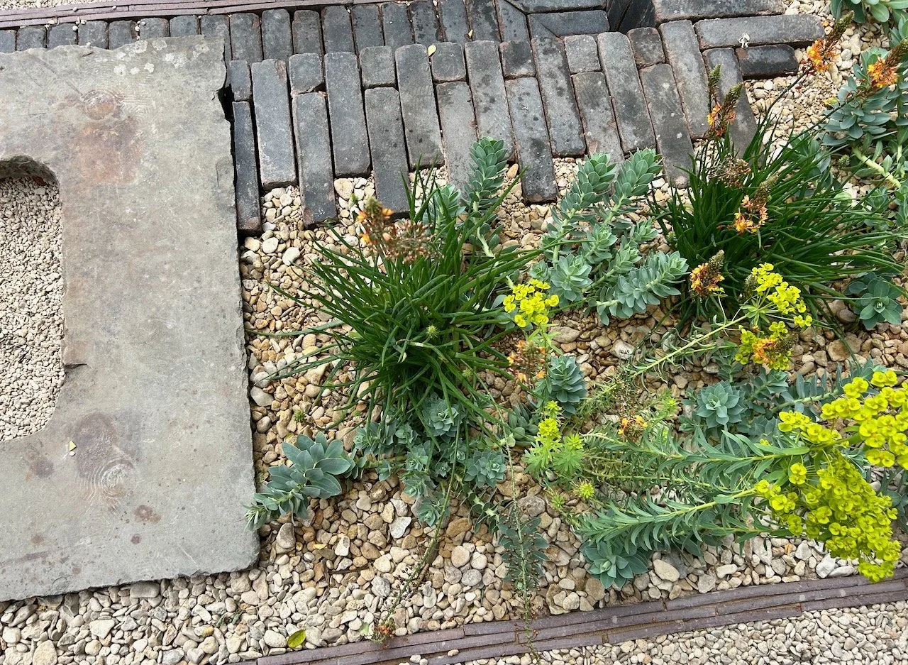 Looking more closely at the planting around the seating area, topped with gravel