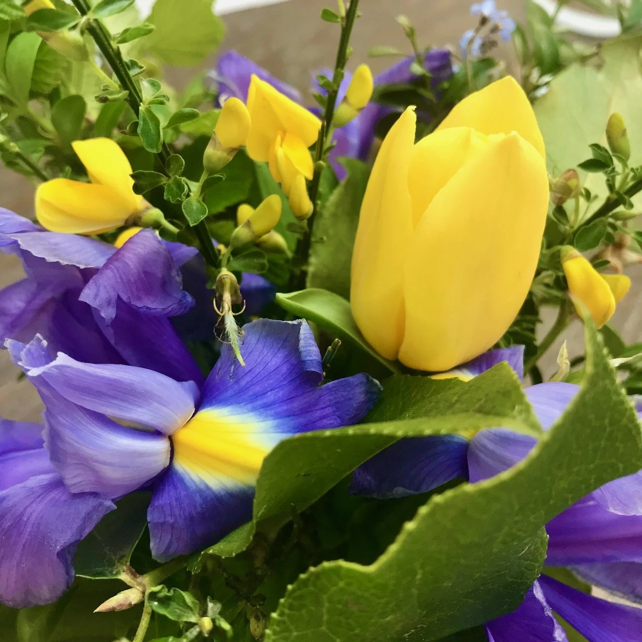 yellow tulips, gorse and purple/blue irises table decoration