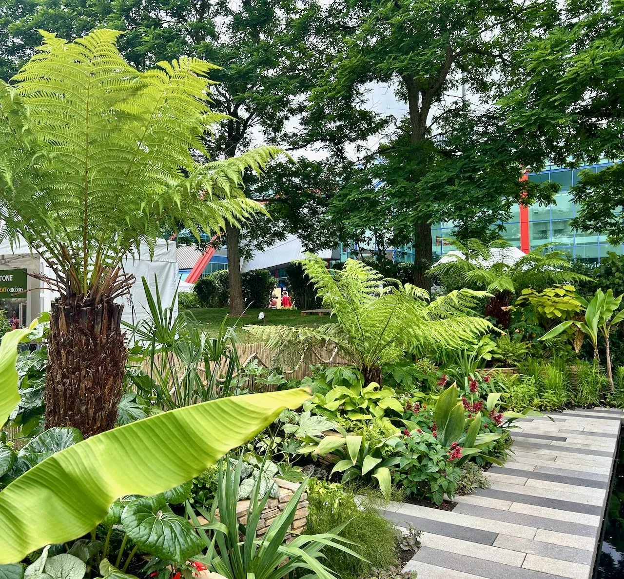 Planting in the Jungle/Exotic side of the Wallace Line