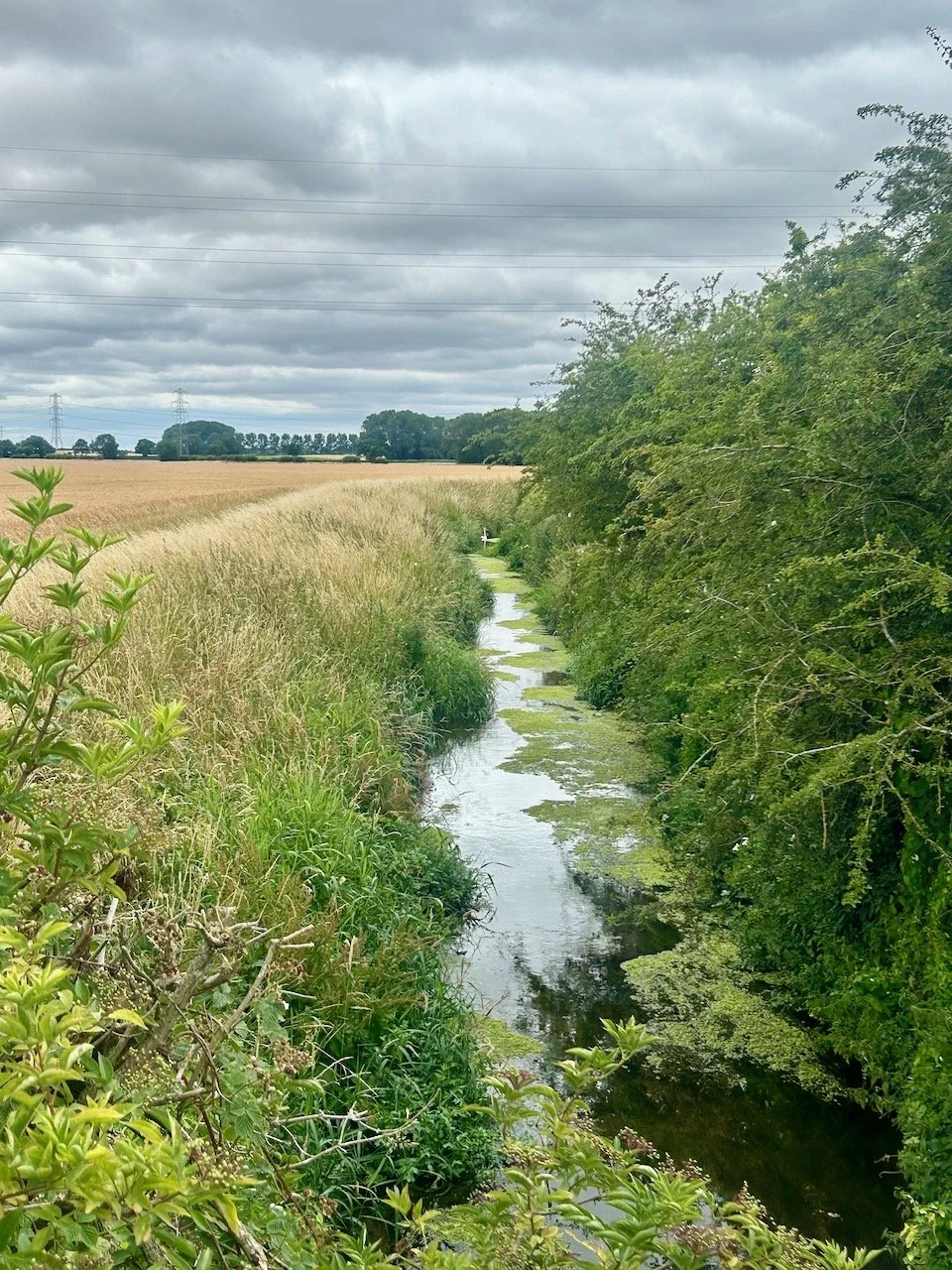 Peering over the bridge on Moor Lane to see the water below