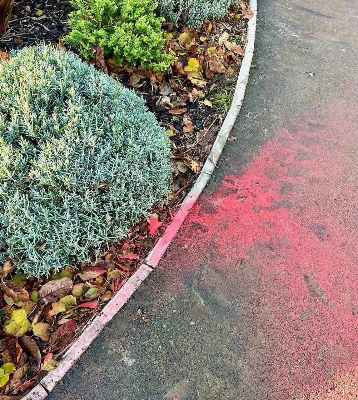 the outside part of our garden sprayed somewhat red during the roadworks taking place