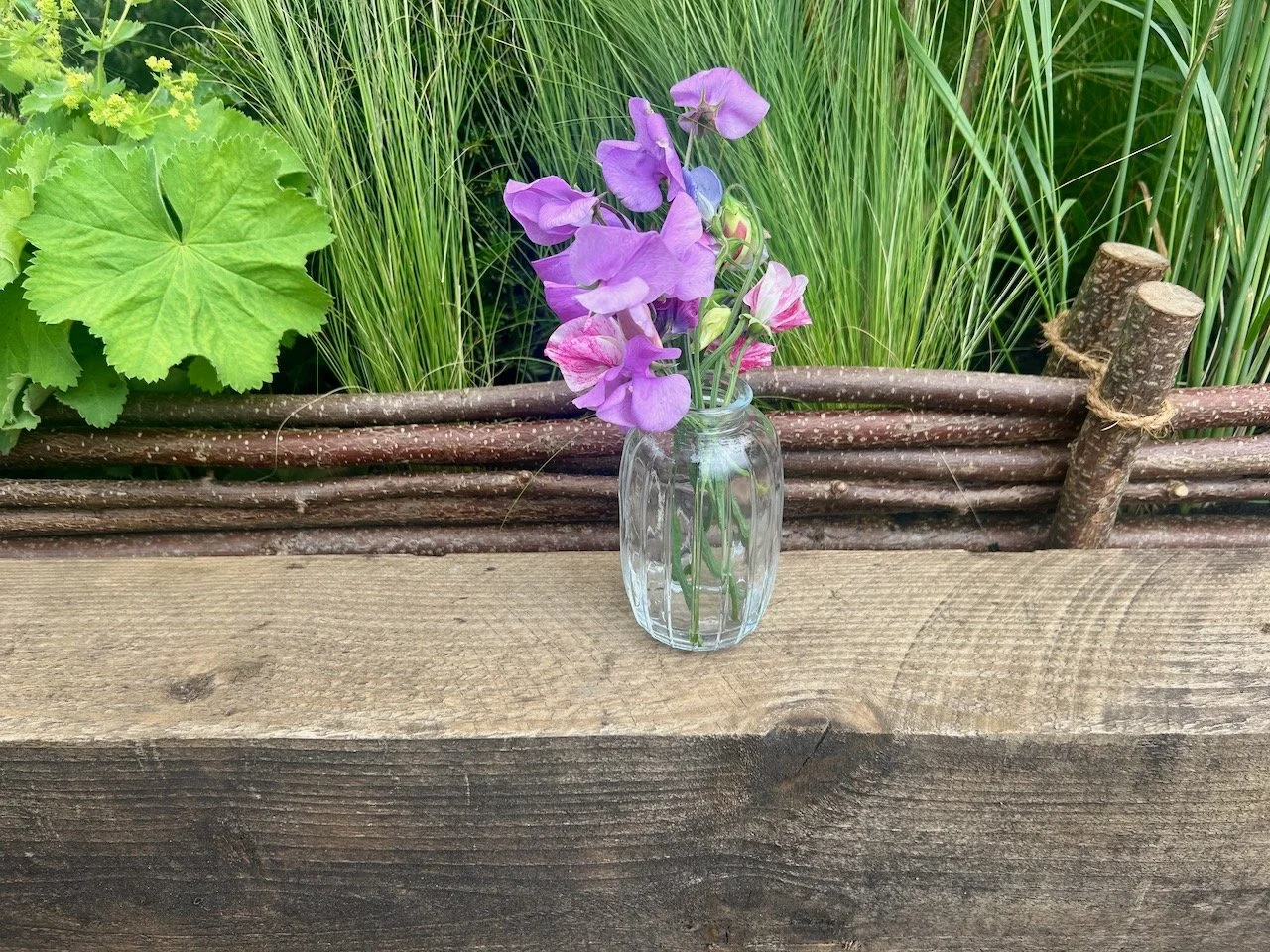 RETURN TO GOTHIC, GEORGINA SPENCER & ALICE POTE - GARDENERS' WORLD LIVE 2026