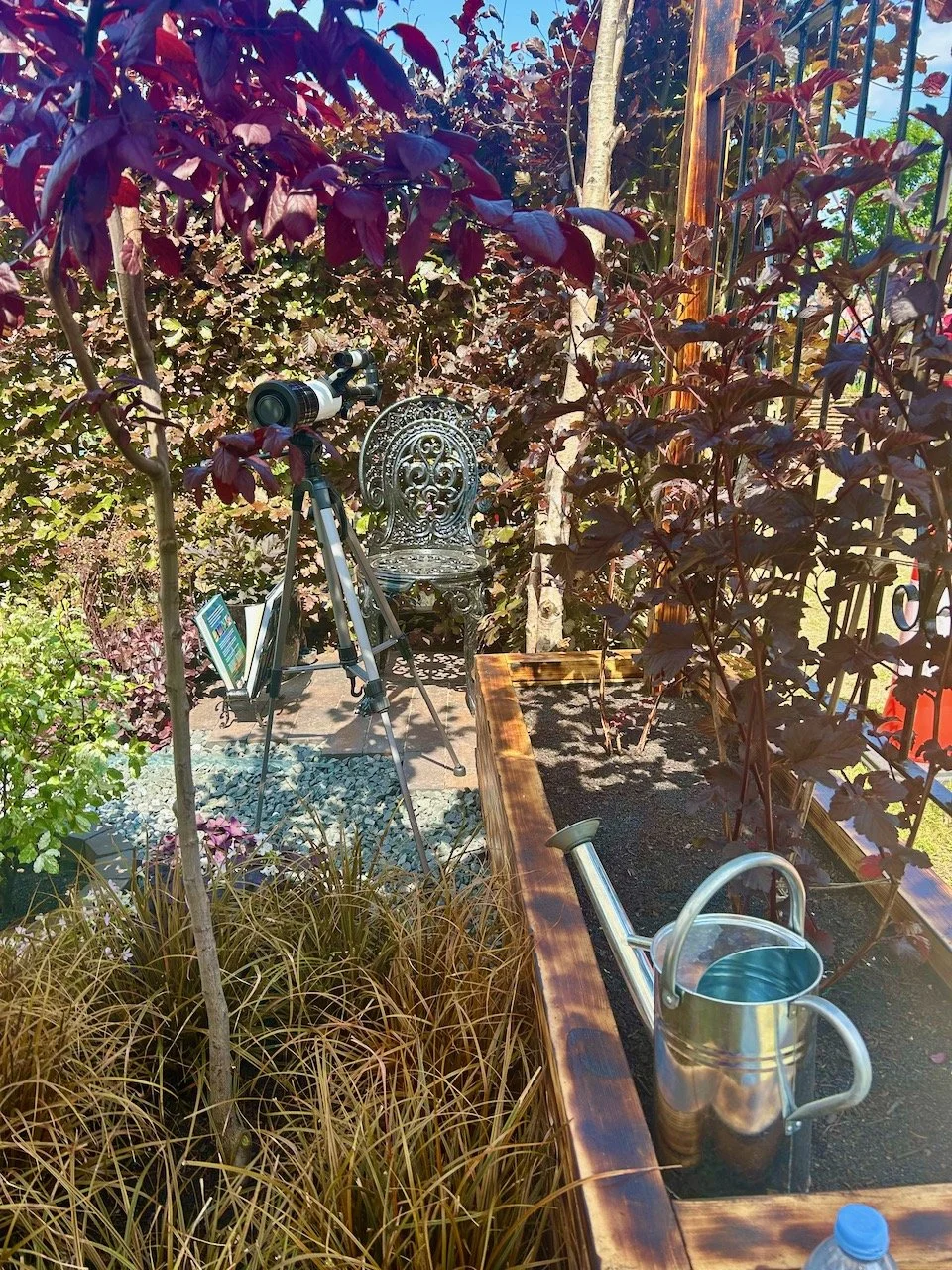 Looking at the chair and telescope from a different angle, with a galvanised watering can in the raised bed in the foreground