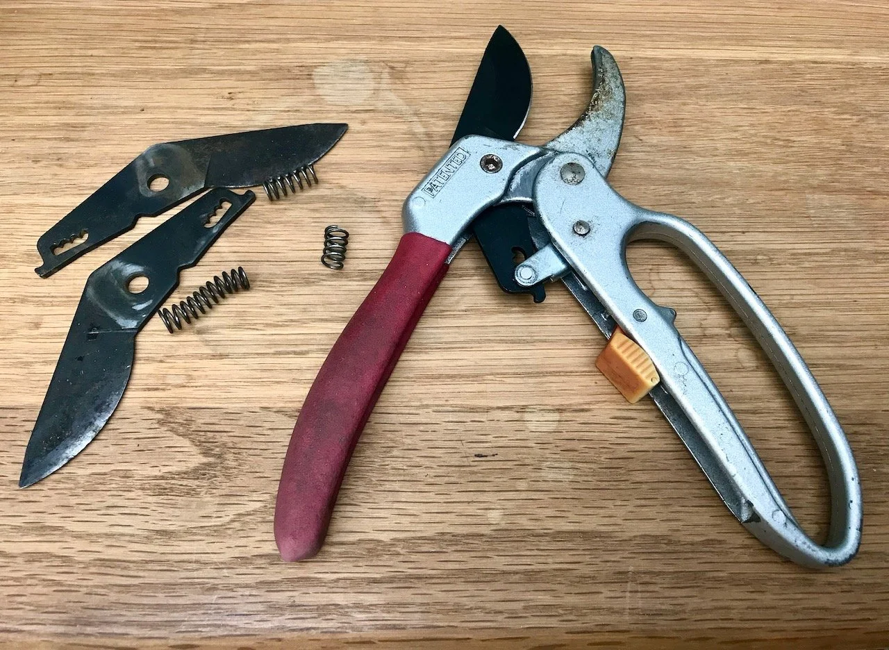 Secateur maintenance - new blades and springs inserted - made a world of difference, we should have done it sooner!