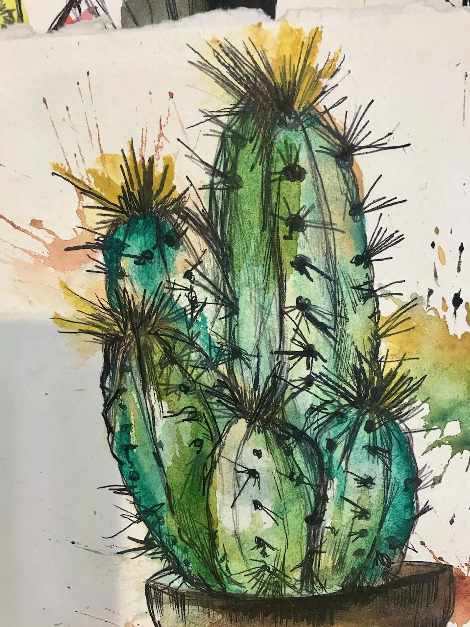 A drawing of a prickly cactus - painted in greens with oranges and peach colours as highlights