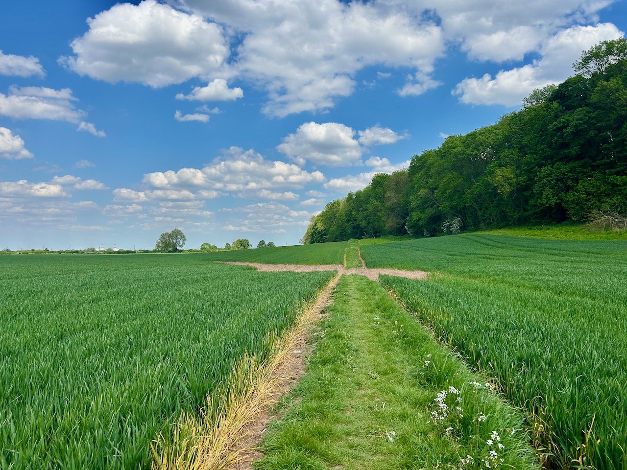 Looking back across the field which we've just walked