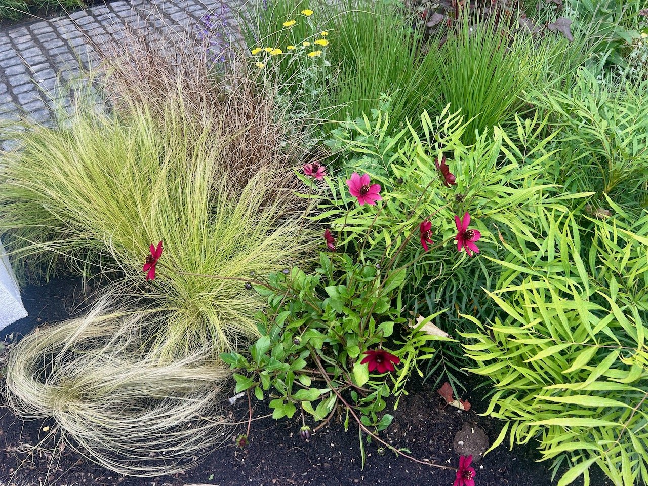 UMBRELLAS, DAVE HODSON - GARDENERS' WORLD LIVE 2026