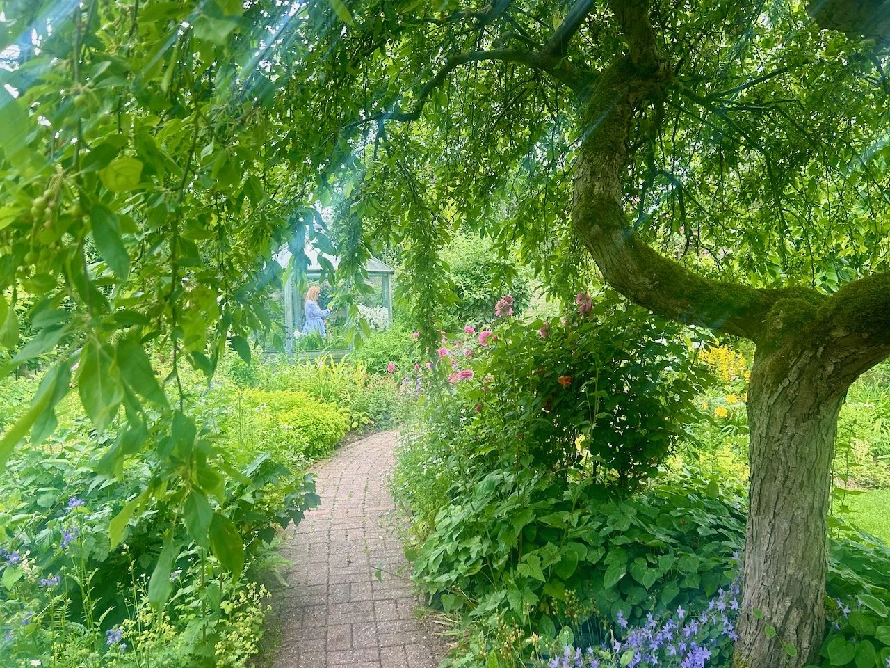 Heading along the path in the Ornamental Kitchen Garden
