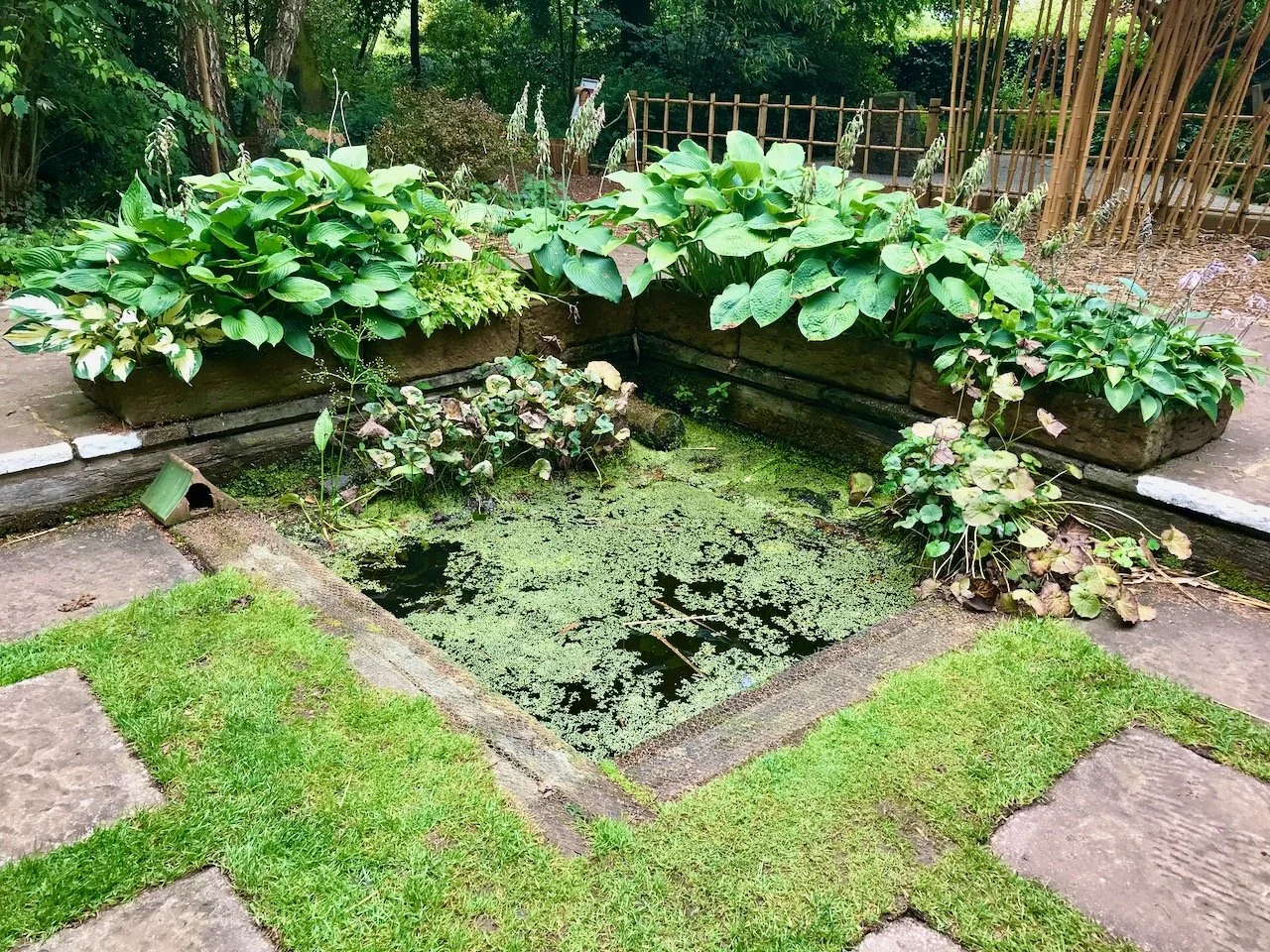 The hidden pond in a corner of the lawn with raised planters at the rear
