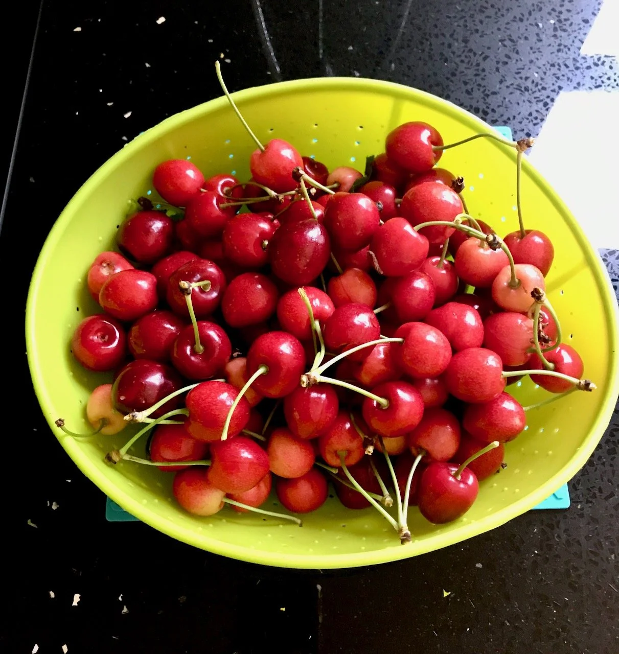 a bowl of freshly picked cherries