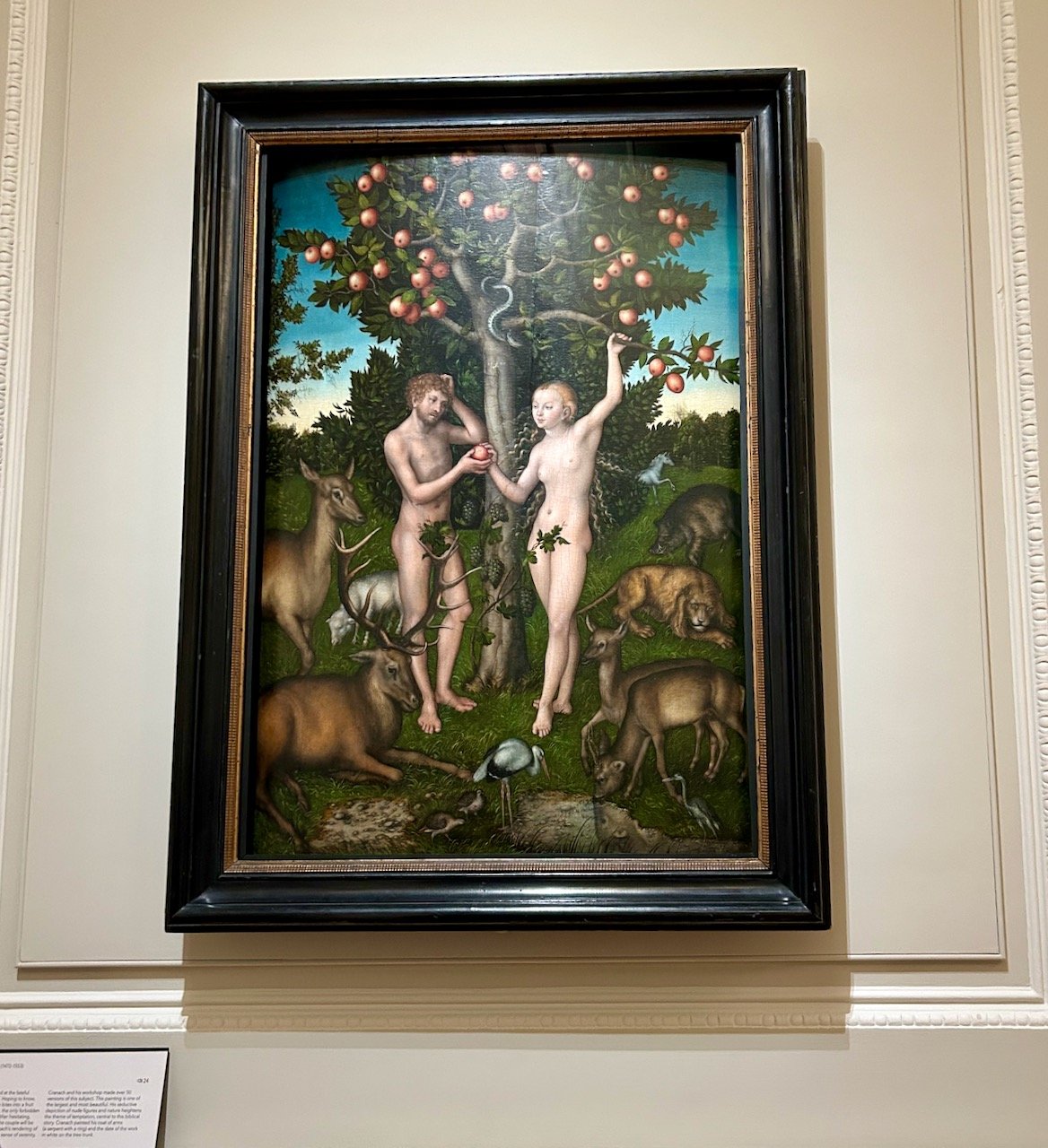 Adam and Eve by Lucas Cranach the Elder