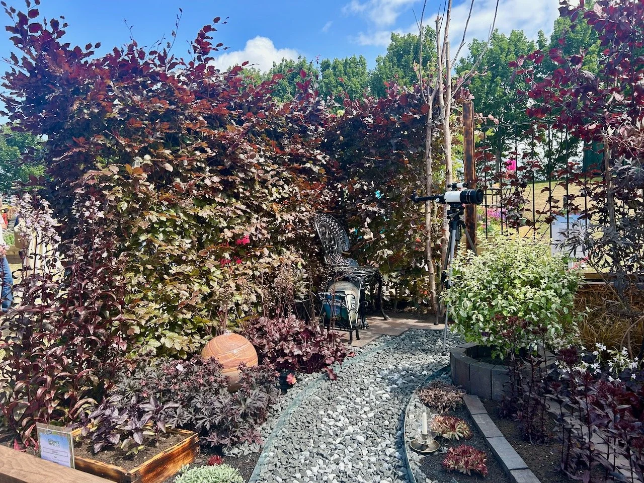 Thinking of the moon and stars, and bats...