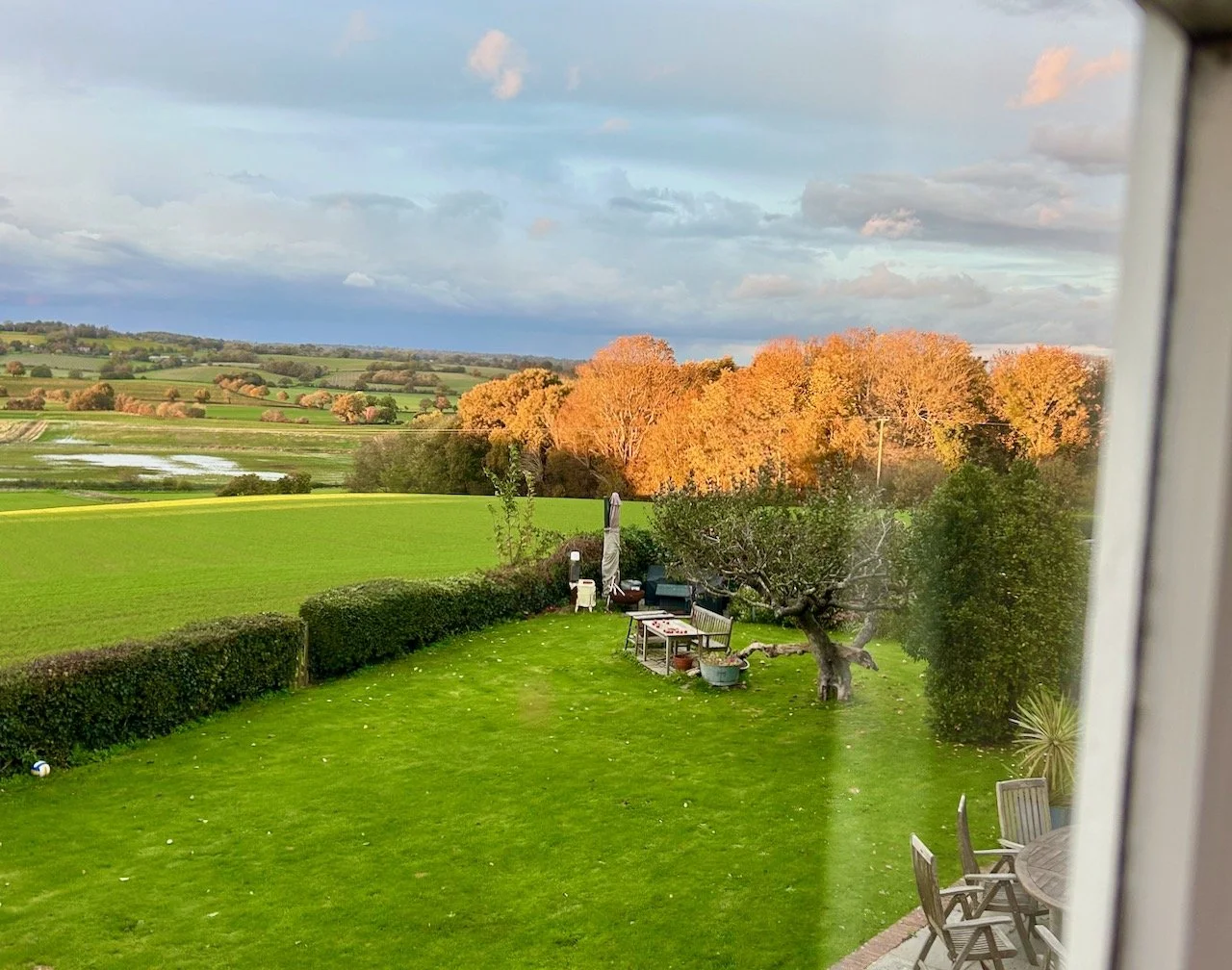 Sun on the autumnal leaves bringing them to life after the rain from Storm Benjamin