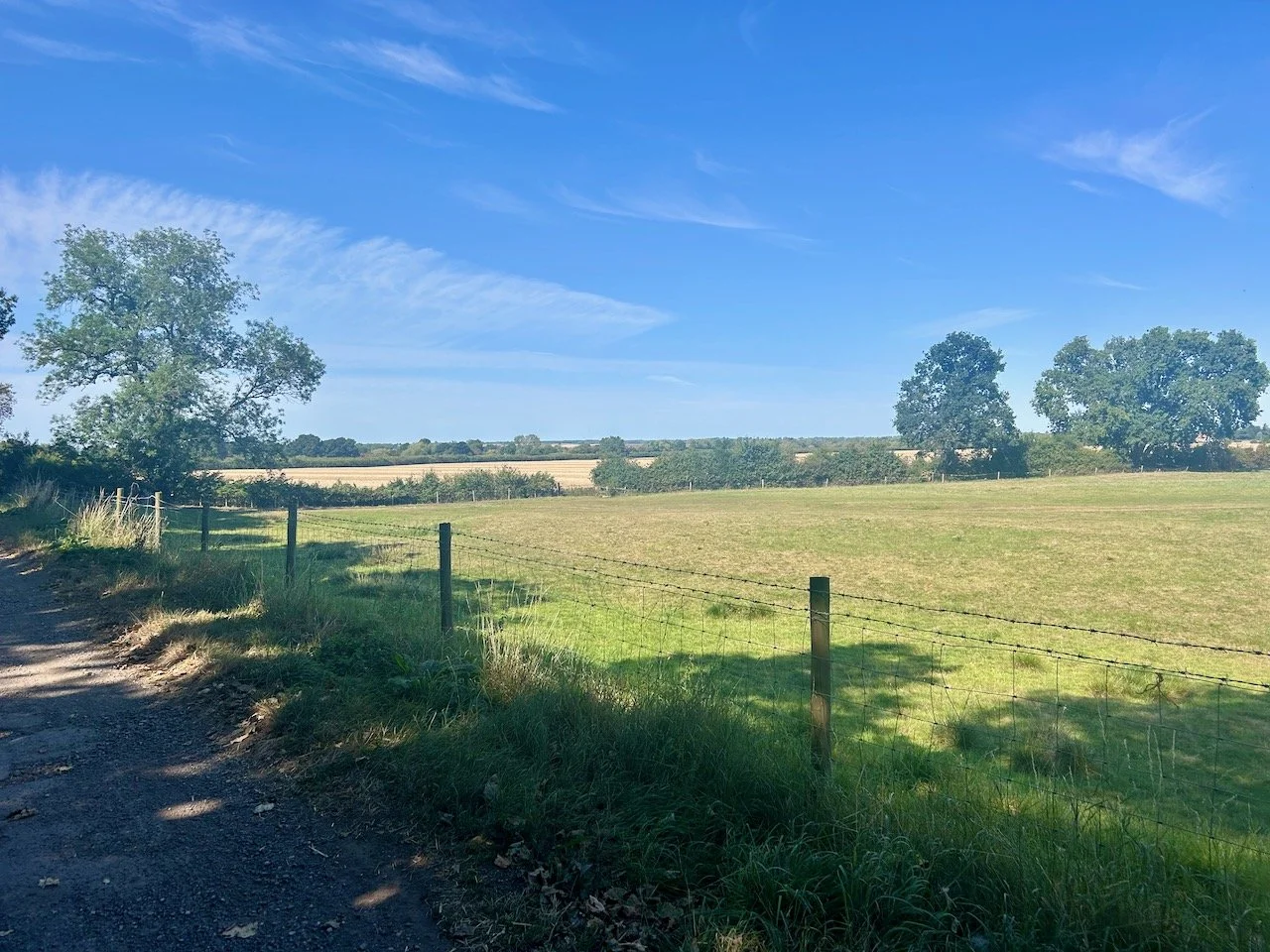 Looking across the fields with blue skies ahead