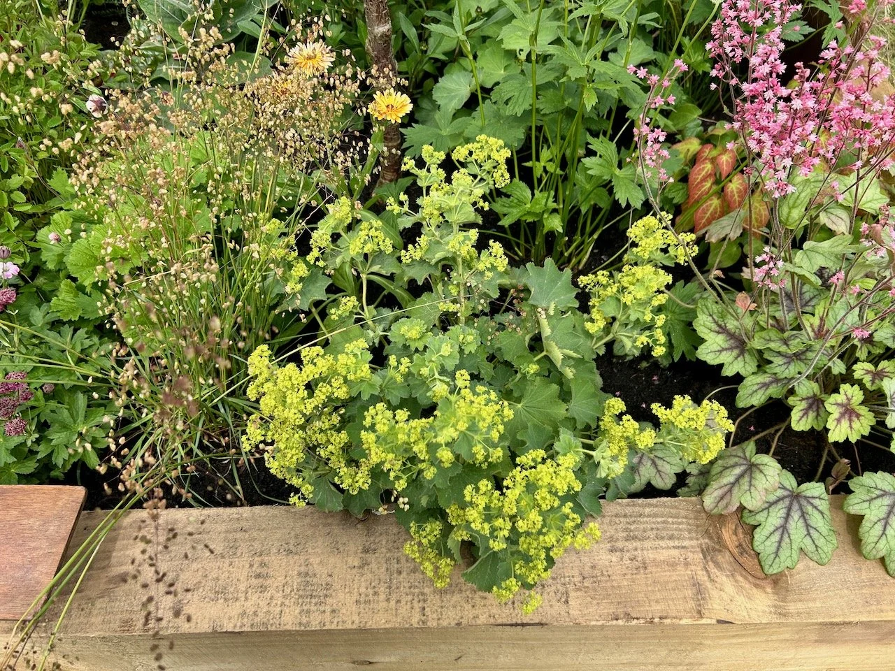 From Sewing to Sowing, Annabel Davies, Gardeners' World Live 2026