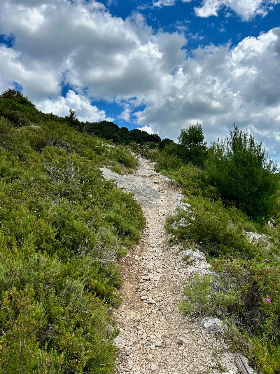 And still the rocky path upwards