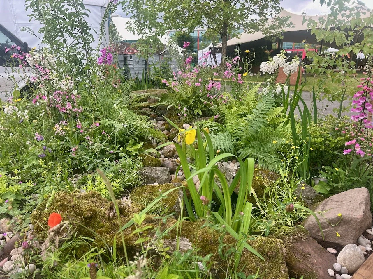 COMPOSITION IN THE PARK, JULIA MARKS & DENISE MALLEN - GARDENERS' WORLD LIVE 2026