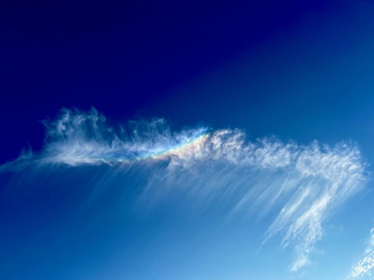 a rainbow cloud above our garden