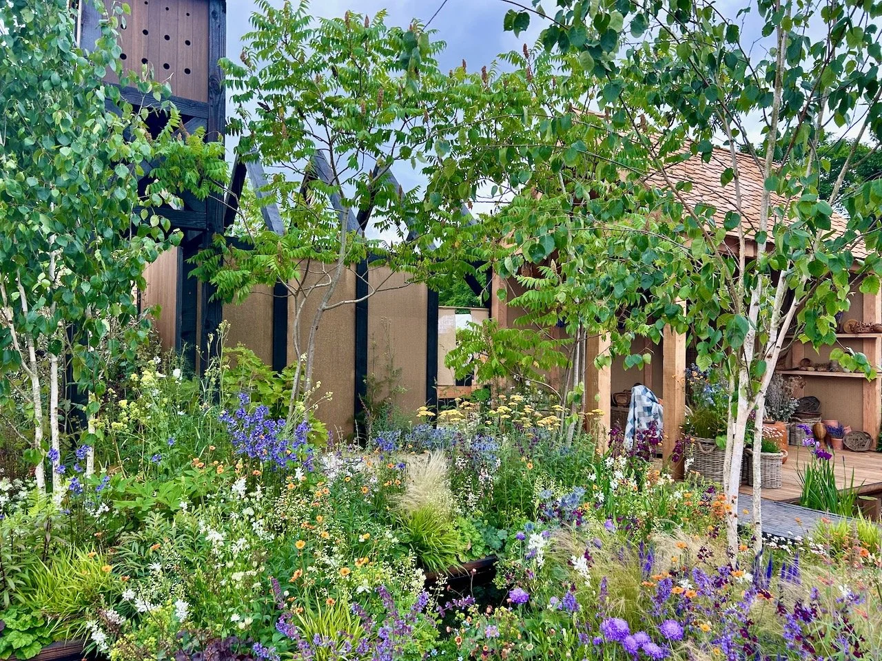 Dense prairie style planting in the foreground with the seating area in the background