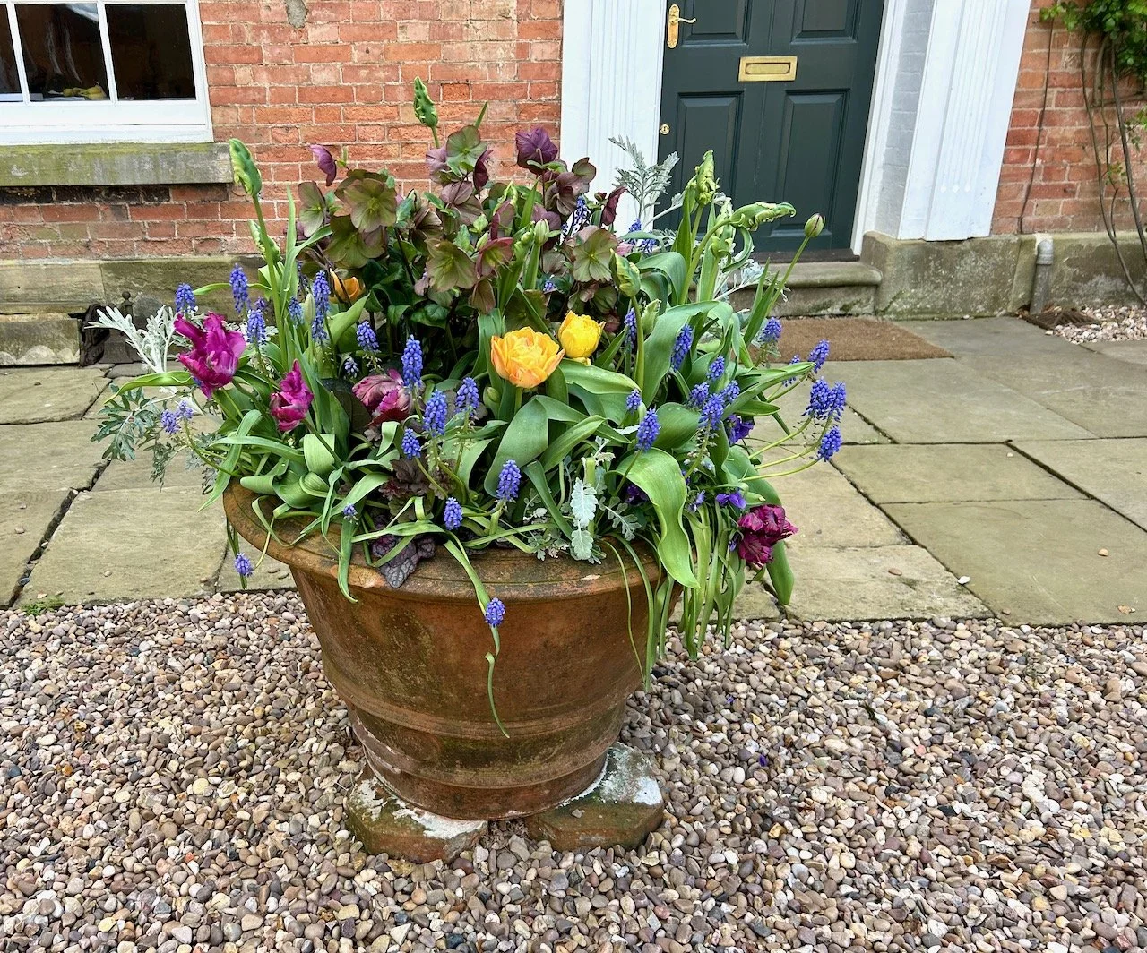 A large pot full of spring flowers