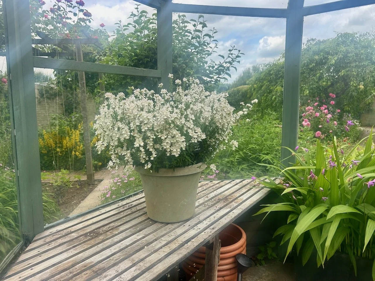 In the wooden greenhouse looking out over the Ornamental Kitchen Garden