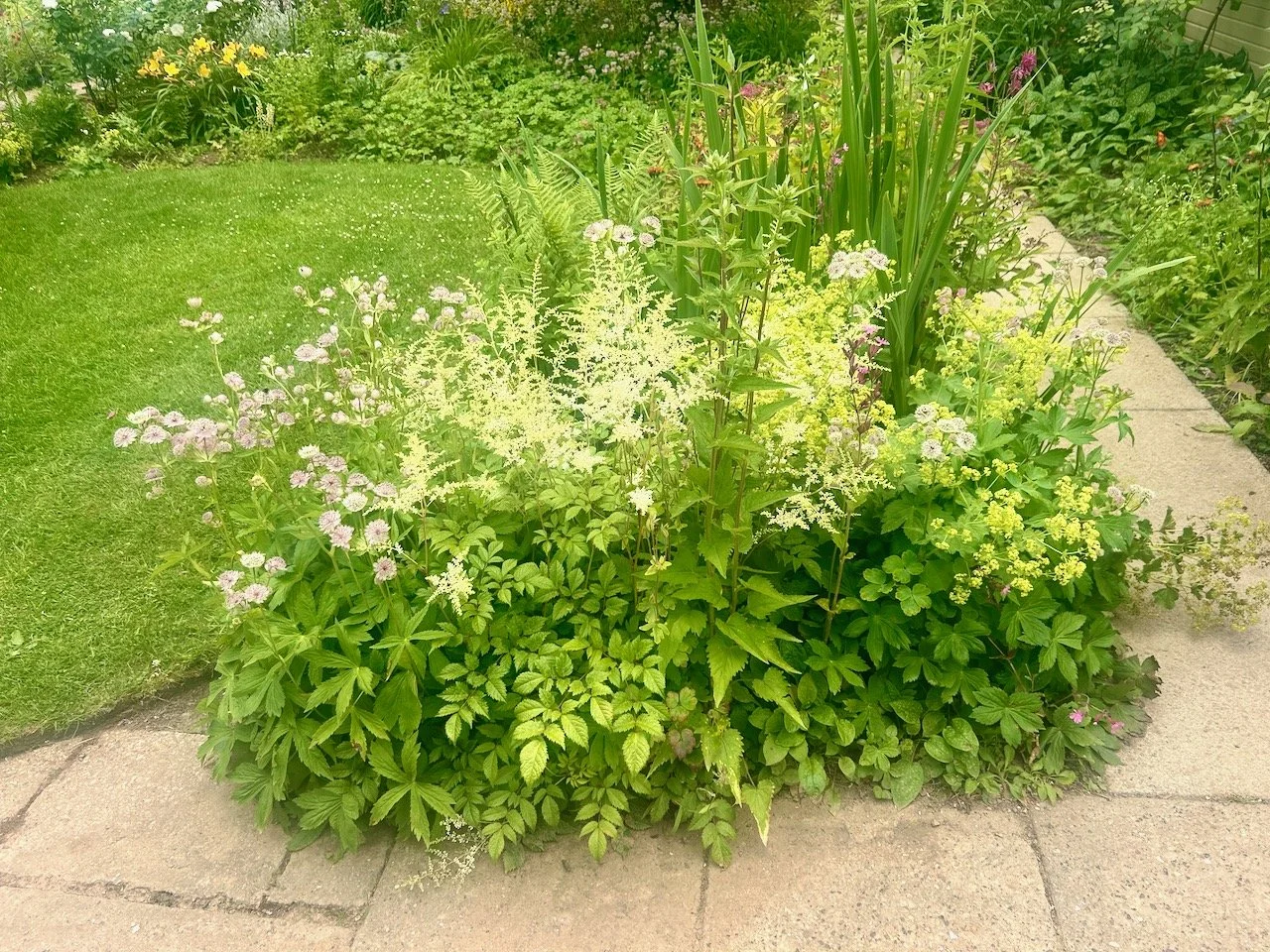 There's flowers in the borders in the Ornamental Kitchen Garden