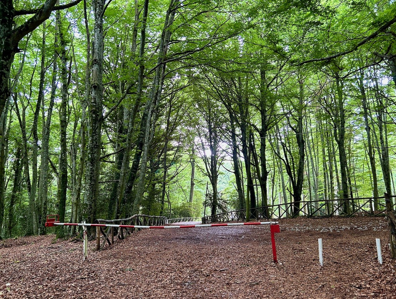 A barrier ahead, with paths either side