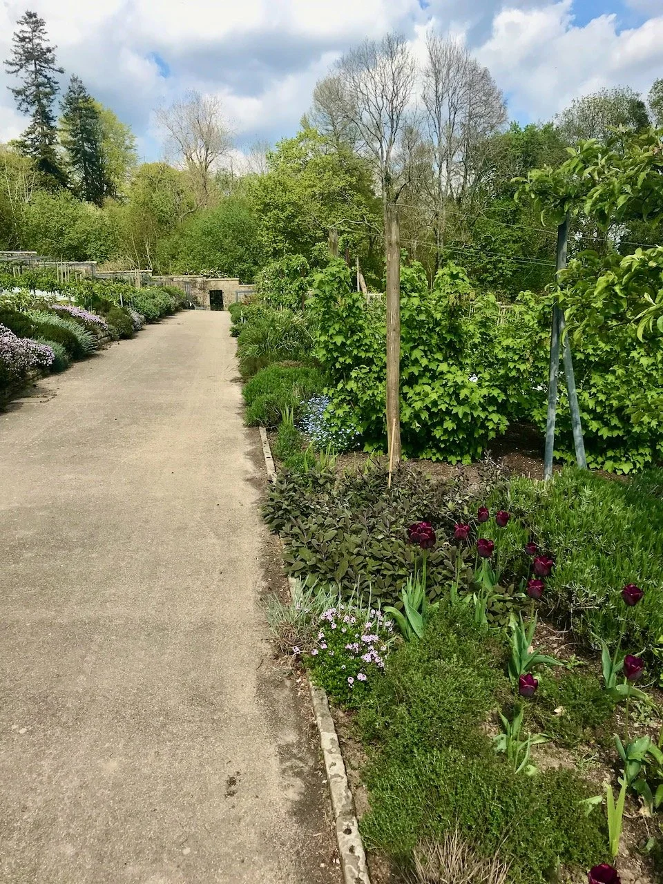the path through the centre of the oval walled kitchen garden with plants, fruits, herbs and vegetables growing on either side