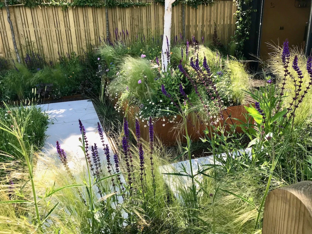 Corten steel planters in the border of the seating area, with a white path linking the two areas of the garden