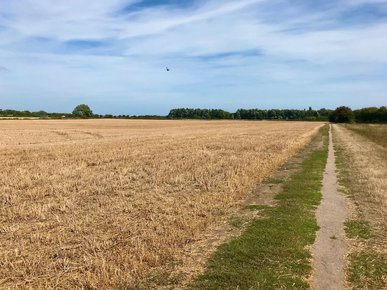 the path opened up into a field where the crops on the left had already been cut