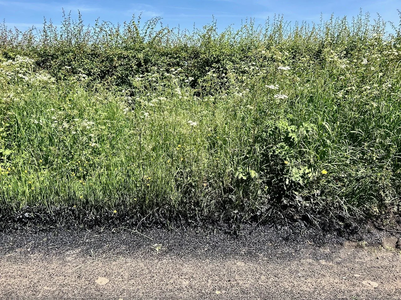 Tarmac on the edge of the verge too