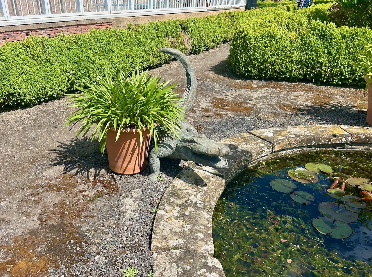 is that an alligator or crocodile by the pond?