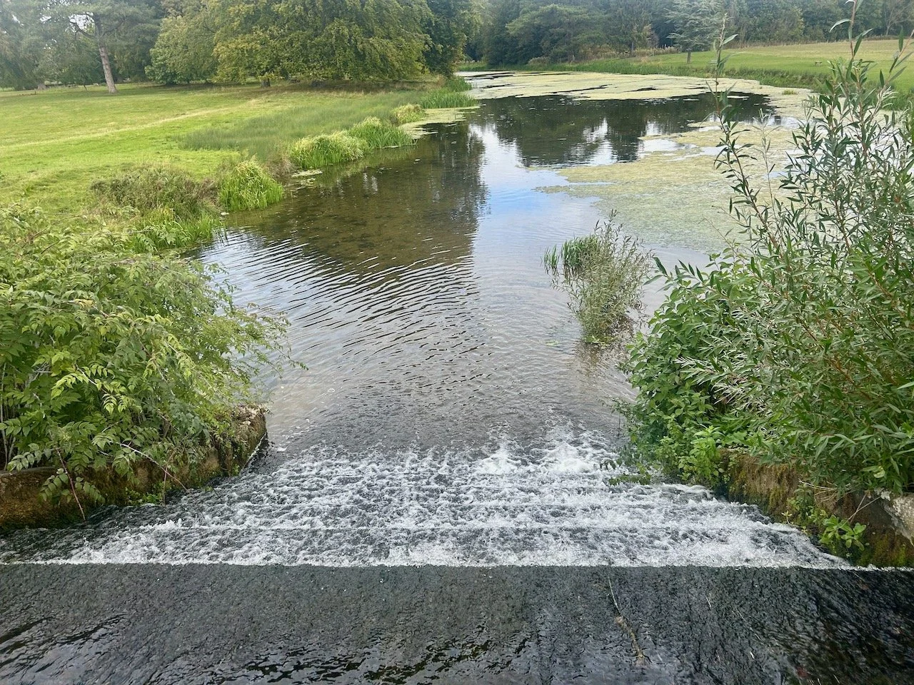 Looking over The Cascades at Scampston Hall