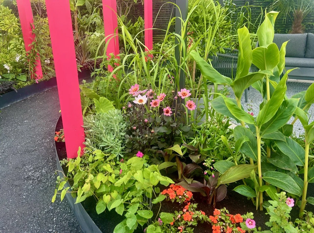 Looking down at one of the planted beds with pink and orange flowers among the foliage